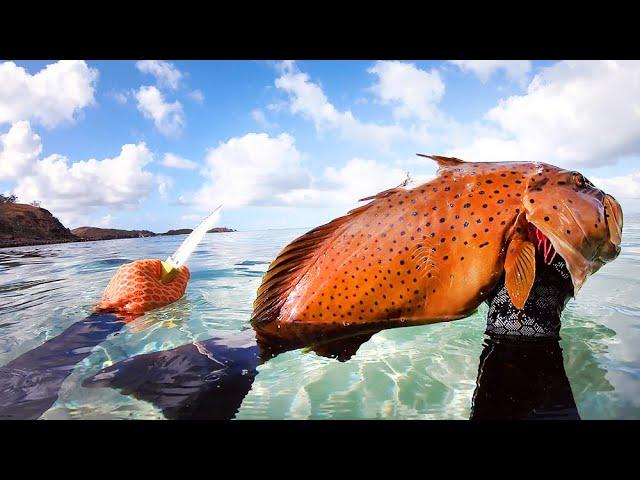 Catching The "Best" Eating Fish - Solo Camping An Uninhabited Island - Part 1