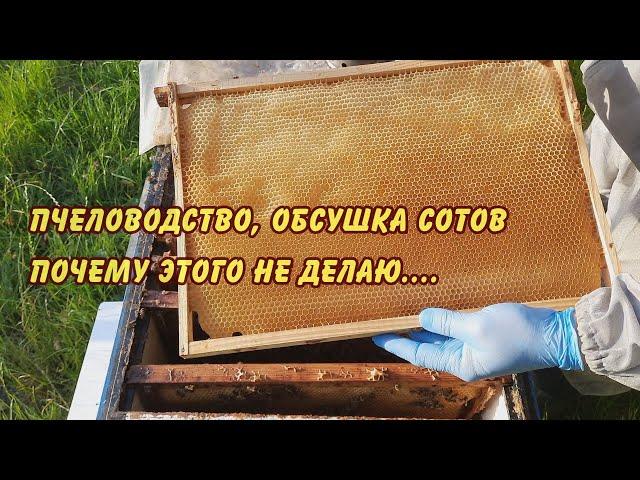 пчеловодство мёд обсушка сотов почему этого не делаю