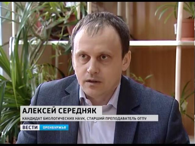 В Оренбурге букеты из краснокнижных цветов продают цинично за 25 рублей1493363573