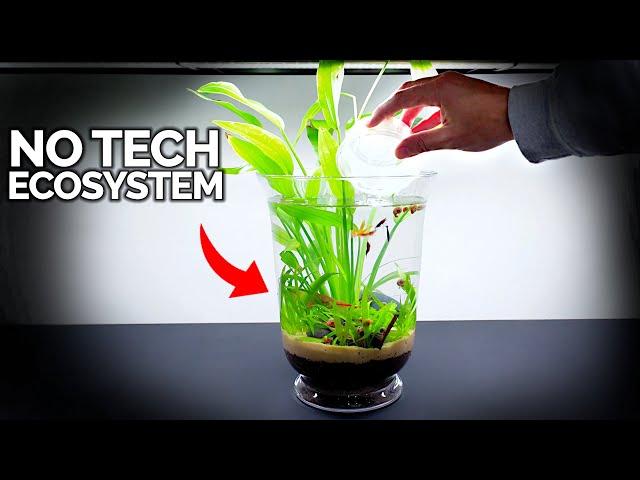 No Tech Ecosystem Vase For Anywhere In Your Home!