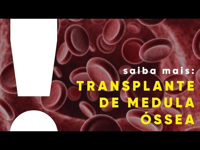 COMO é FEITO o TRANSPLANTE de MEDULA ÓSSEA?