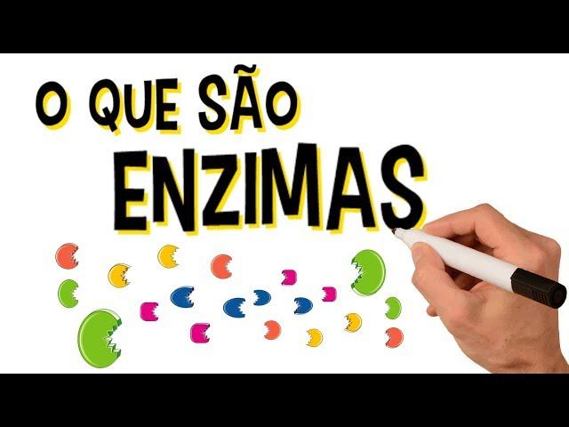  O QUE SÃO ENZIMAS?