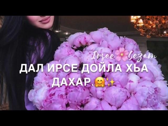 На день рождения! Дал декъал йойла хьо!️