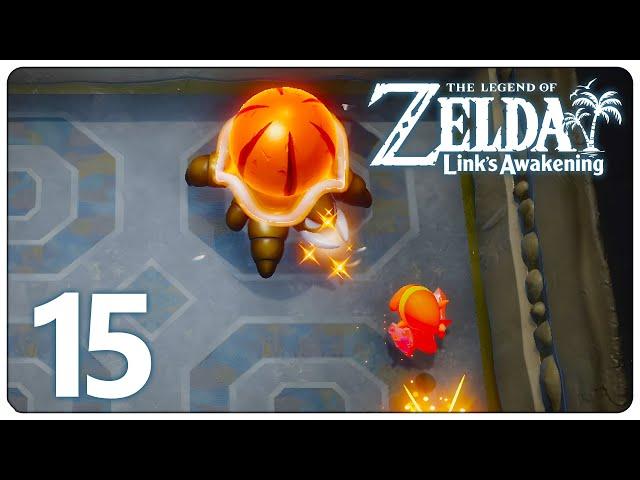 Labyrinth der Farbe | Zelda Link's Awakening Switch 15