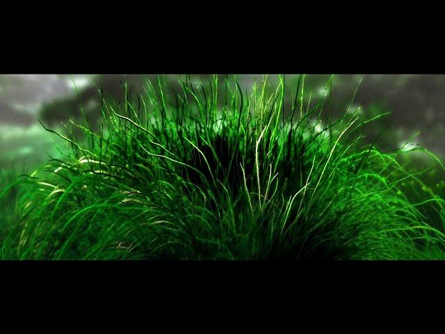 VSR CREATION - BANNER