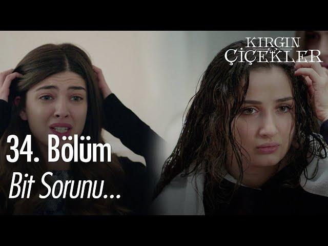 Songül ve Defne neden kaşınıyor? - Kırgın Çiçekler 34. Bölüm