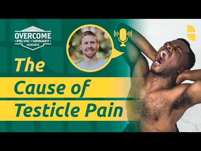 What is Creating this Testicular Pain? | Pelvic Coaching w/Michael Hodge