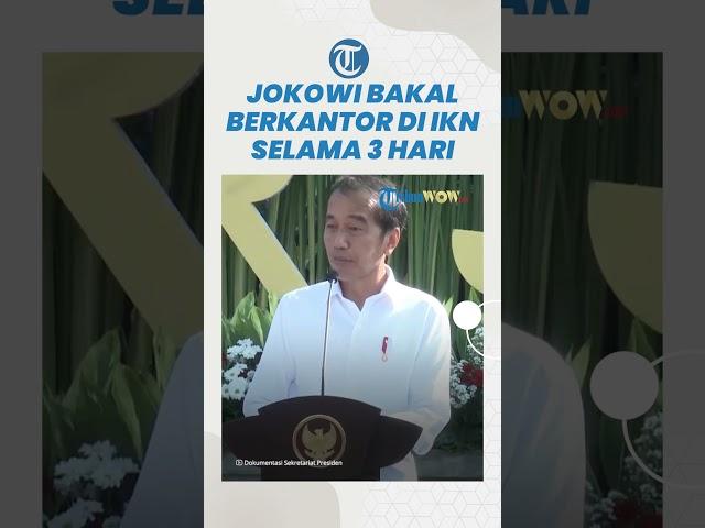 Presiden Jokowi akan Berkantor di IKN Selama Tiga Hari Bersama Ibu Negara Iriana, Mulai Hari ini