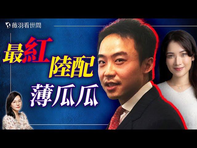 薄瓜瓜成台灣女婿，是避風港還是搶灘頭？｜薇羽看世間 20241125