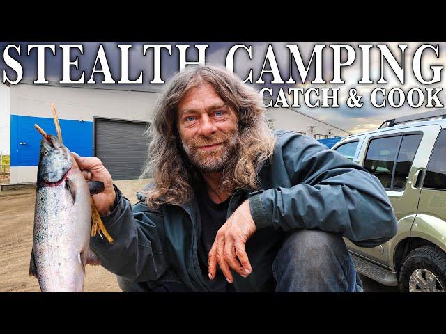 Stealth Camping Salmon Catch & Cook