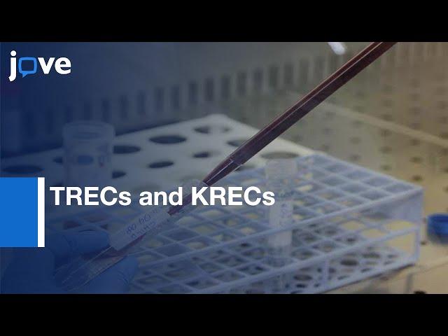 Real-time PCR used for quantification of TRECs and KRECs | Protocol Preview