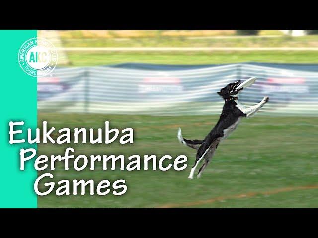 Eukanuba Performance Games