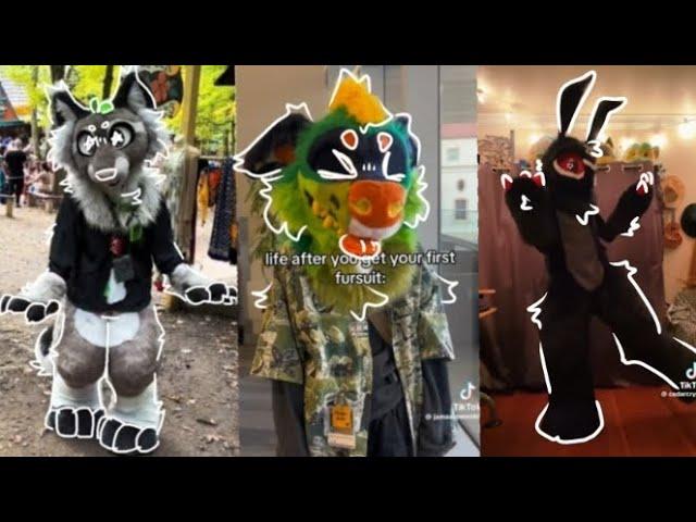 FURRY TIKTOK COMP 35 MINS || ‼️Read Desc‼️|| Fursuit, art, kenomini