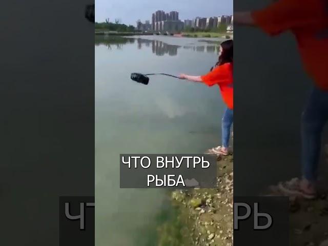Китайцы ловят рыбу в ХИТРУЮ ловушку  #шортс  #рыбалка