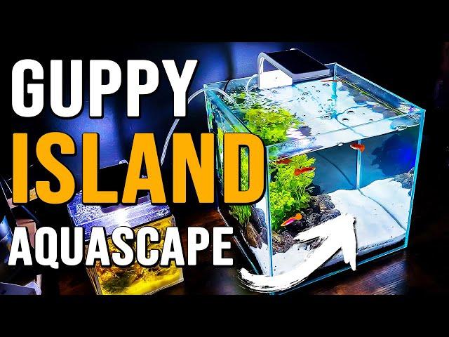 Awesome Guppy Aquarium | Simple Guppy Breeding Tank - MR BRIGHTFRYED