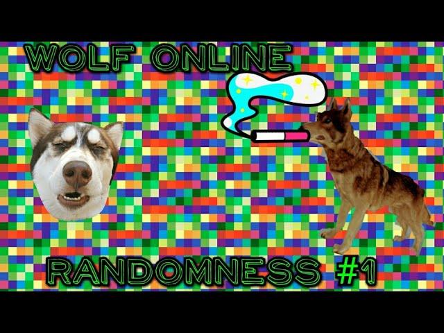 Wolf Online•Randomness #1