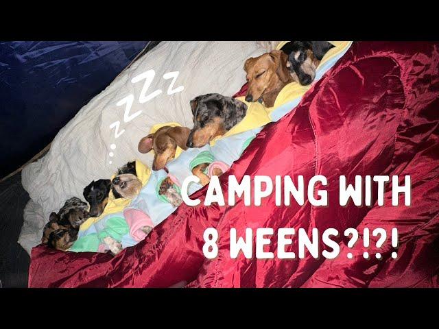 I WENT CAMPING WITH 8 WEENS?!?!?