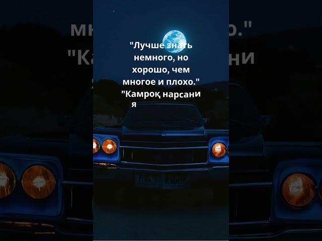 Мудрость Сенеки: Вечные Цитаты.#Сенека#Философия#Мудрость#Цитаты#ДревняяГреция