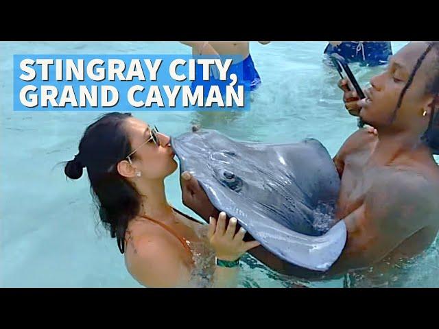 Stingray City: An Exciting Grand Cayman Island Adventure!