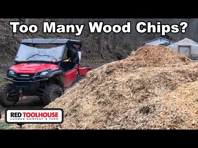 What Did 5 YEARS of Adding Wood Chips Do to Our Garden?