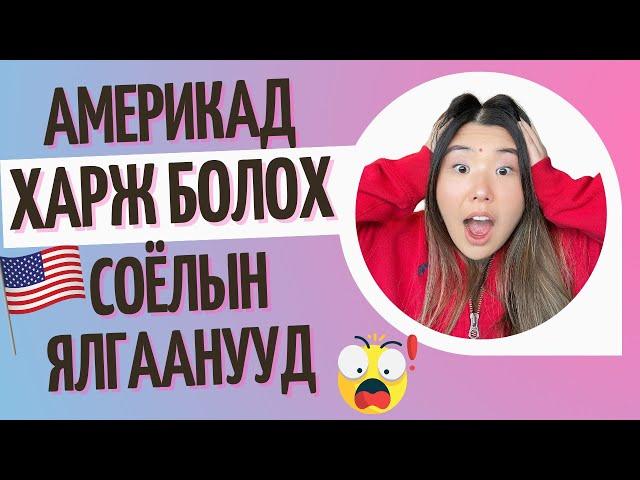 Ямар ямар соёлын ялгаануудыг Америк улсад харж болох вэ? | Shall We Chat? Ep. 12