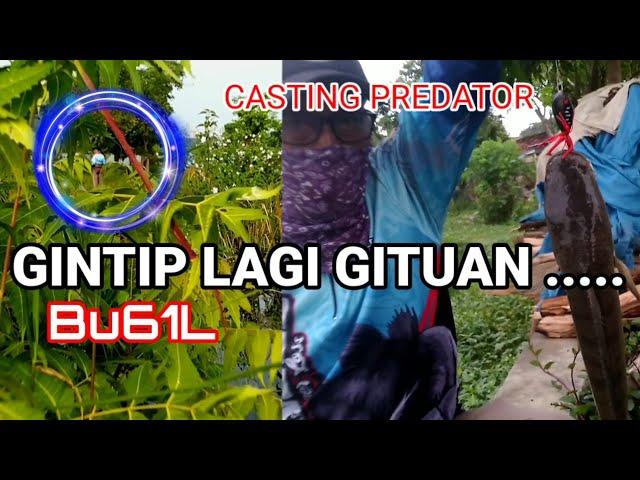 CASTING | Ngintip Orang Lagi Gituaann......