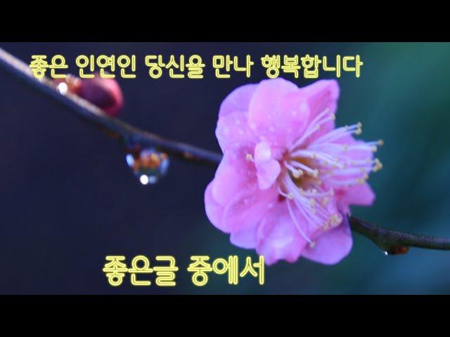 좋은 인연인 당신을 만나 행복합니다 좋은글 중에서 사모애  노래 마이진