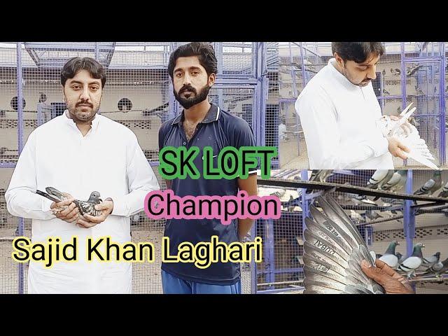 Racer Pigeon SK Loft visit  Champion pigeons Review 504 GPS