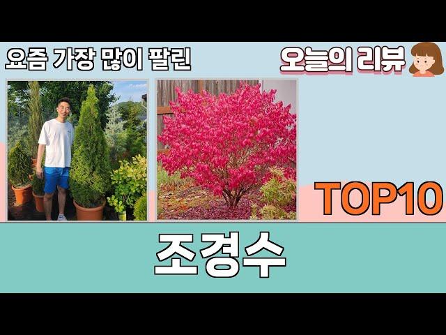 가장 많이 팔린 조경수 추천 Top10!