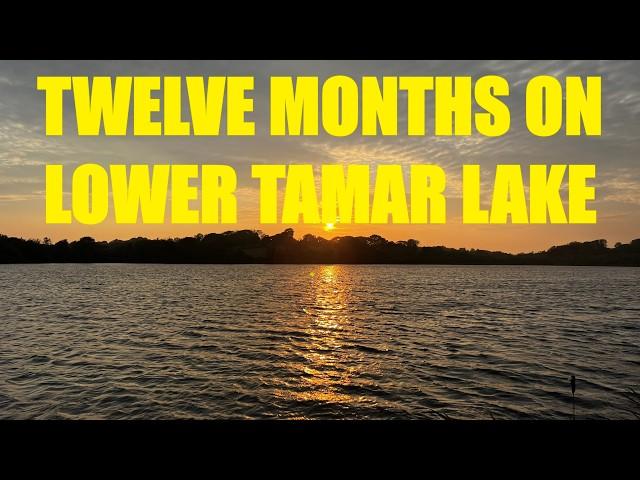 12 MONTHS ON LOWER TAMAR - Attempting the step up to specimen fishing