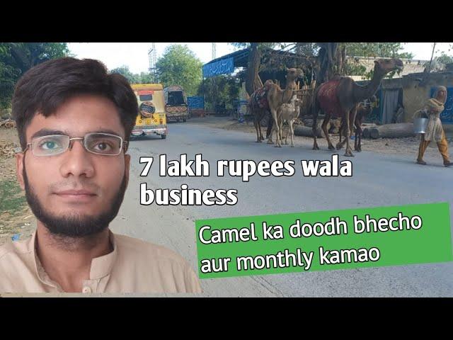 Camel ya oont ka doodh bach kar mahana 7 lakh rupees kamein | Business in Pakistan