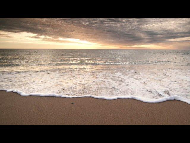 Standing Bold: Cape Cod National Seashore