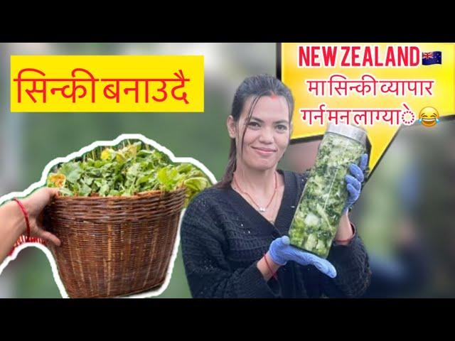 New Zealand ma सिन्की बनाउदै  || Roshani shah || Auckland  #AnmolRoshani