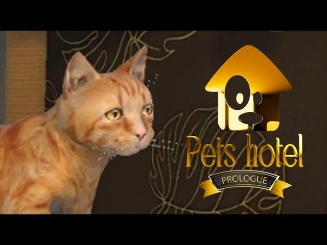 РЫЖИЙ БАГОЮЗЕР #2 Pets Hotel