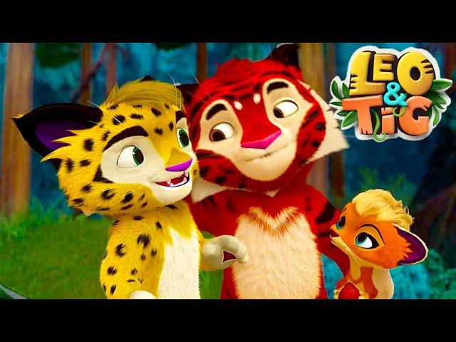 Leo and Tig  All episodes in row  Funny Family Good Animated Cartoon for Kids