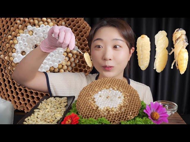  [4k] Savory wasp larva mukbang ASMR