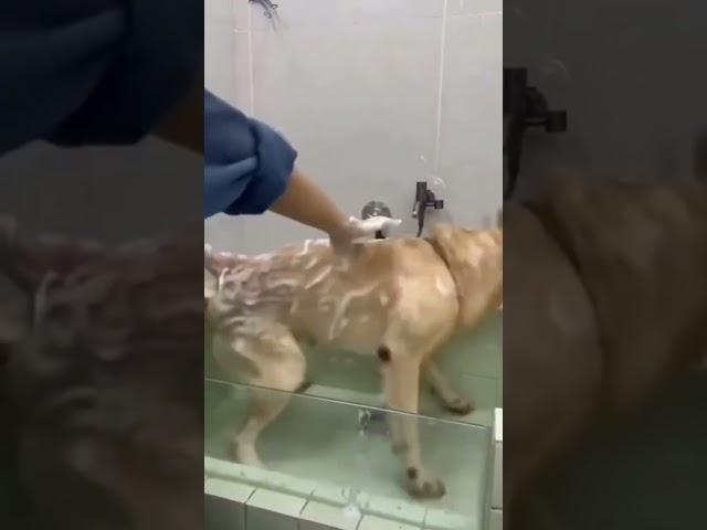 #жизнькайф
