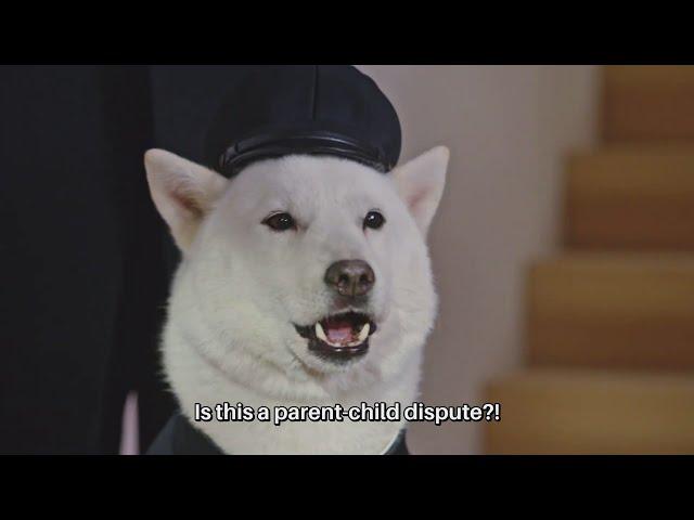 White Family SoftBank Dog CM #. "Filial Piety" Japanese CM [ENG SUB]