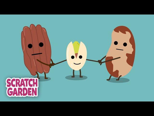 Ahh Nuts! | The Nuts Song | Scratch Garden