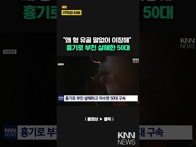 흉기로 부친 살해하고 자수한 50대 구속 / KNN