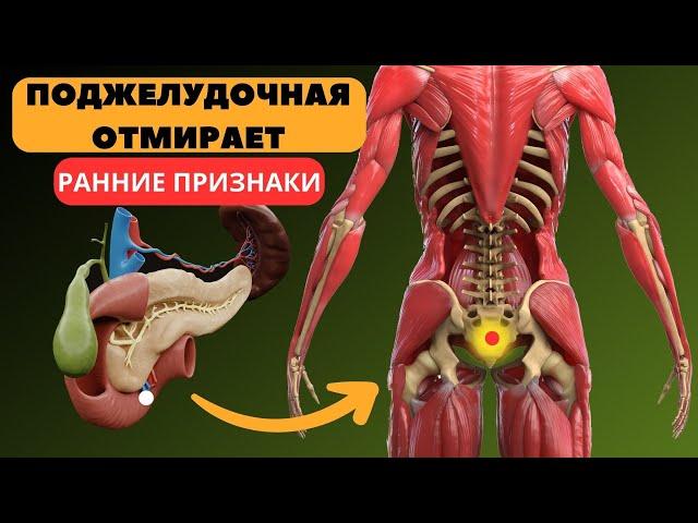 10 Ранних Признаков того, что ваша ПОДЖЕЛУДОЧНАЯ ОТМИРАЕТ. 100% людей даже не знают об этом