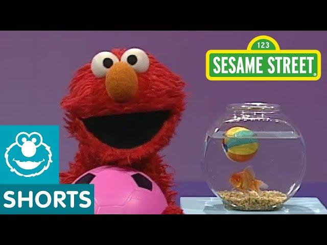 Sesame Street: Play Ball! | Elmo's World