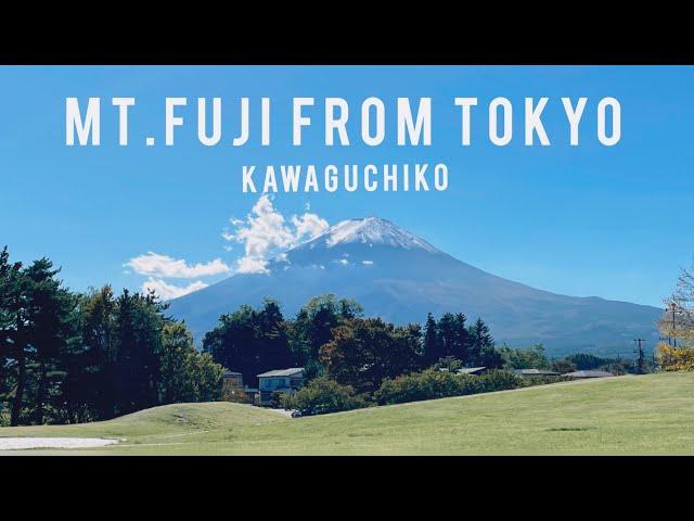 Mt Fuji /Kawaguchi Lake / The Perfect Day Trip from Tokyo