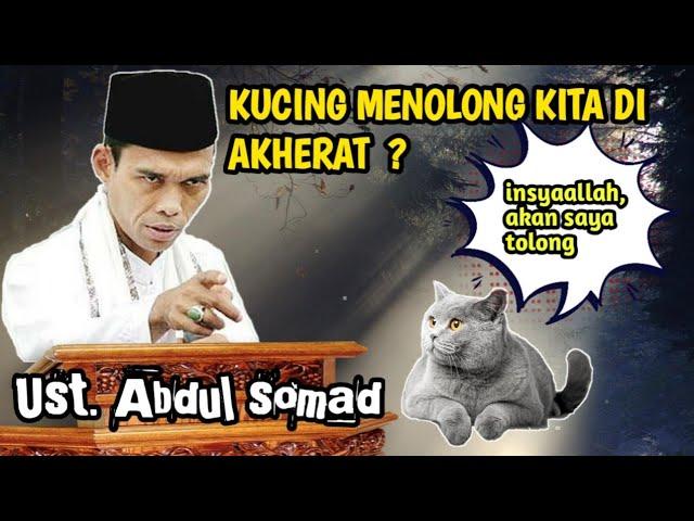 BENARKAH KUCING MENOLONG MANUSIA DI AKHIRATUstadz abdul somad