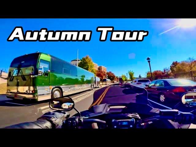 Chill Relaxing 4K Falling Leaves Colorful Foliage Motorcycle Tour Harley-Davidson (No Talking) ASMR