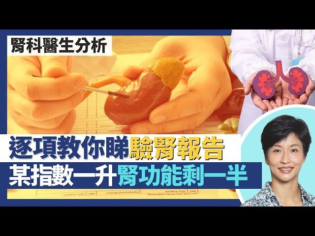 腎功能與護腎貼士｜腎科醫生教你睇驗腎報告 某指數一升腎功能已剩一半？腎臟不只排毒 一半腎衰竭由糖尿病引起？護腎貼士：多飲水不一定好 身體檢查有腎毒性？｜王建芳醫生 腎科醫生葉逸軒醫生｜人類健康研究所