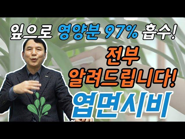 아는 것이 힘!! 엽면시비 전부 공개합니다.