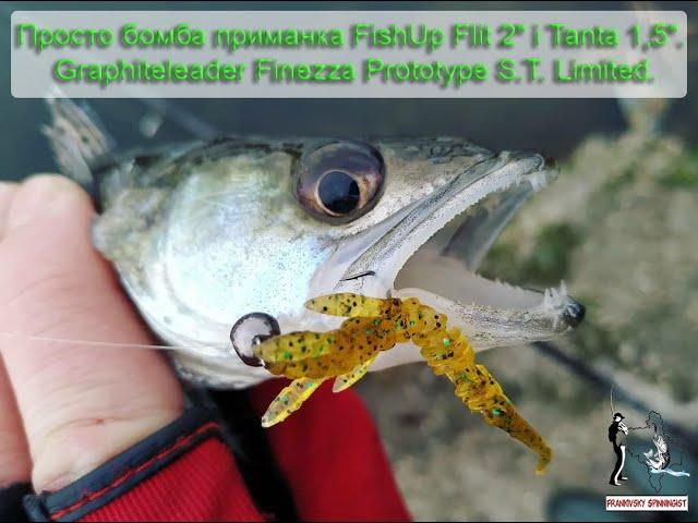 Просто бомба приманка FishUp Flit 2" і Tanta 1,5". Graphiteleader Finezza Prototype S.T. Limited.