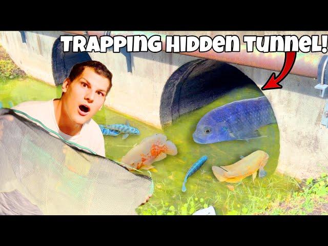 I Found AQUARIUM FISH In HIDDEN TUNNEL TRAP!