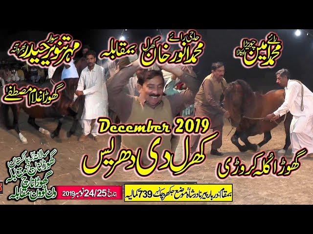 Darbar Nadar Shah Karmani Jakhar Kamalia 2019 /All Punjab Horse Dance / Part-438